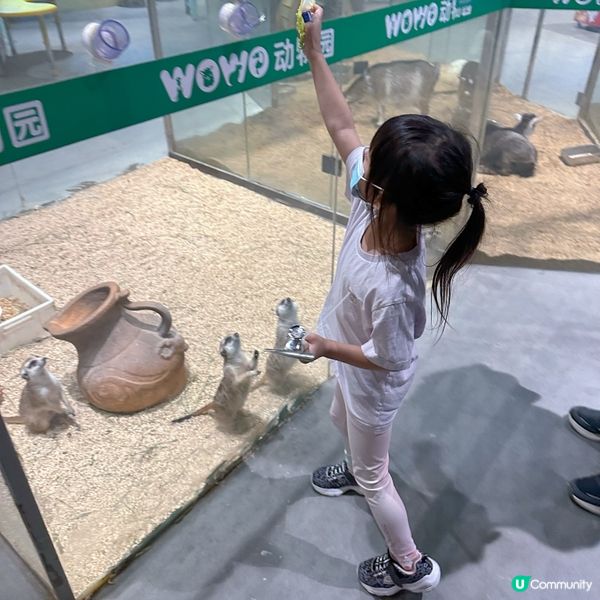  窩窩萌寵樂園（大仟里購物中心店）初體驗