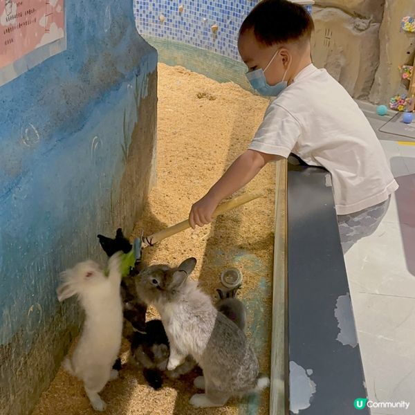  窩窩萌寵樂園（大仟里購物中心店）初體驗