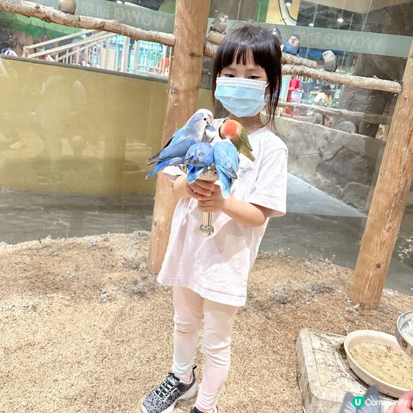  窩窩萌寵樂園（大仟里購物中心店）初體驗