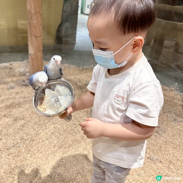  窩窩萌寵樂園（大仟里購物中心店）初體驗