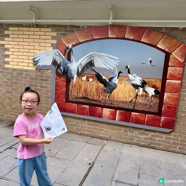 參觀～香港動植物公園