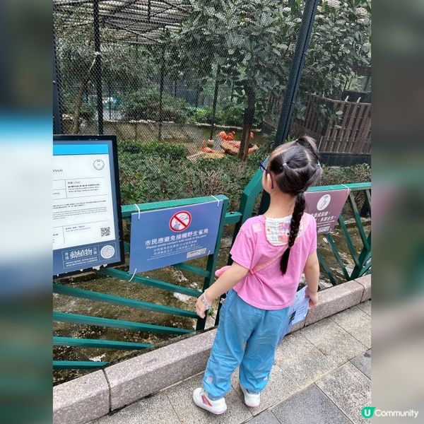 參觀～香港動植物公園