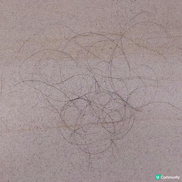 擺脫頭皮痕癢出油煩惱 ❀ BHK's 婕漾 素食膠囊