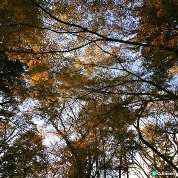 【東京】走入宮崎駿的動畫世界＠三鷹之森美術館