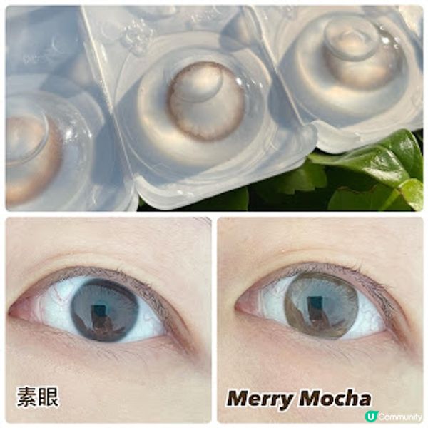 博士倫LACELLE ICONIC 系列。眼眸裏的冬日浪漫