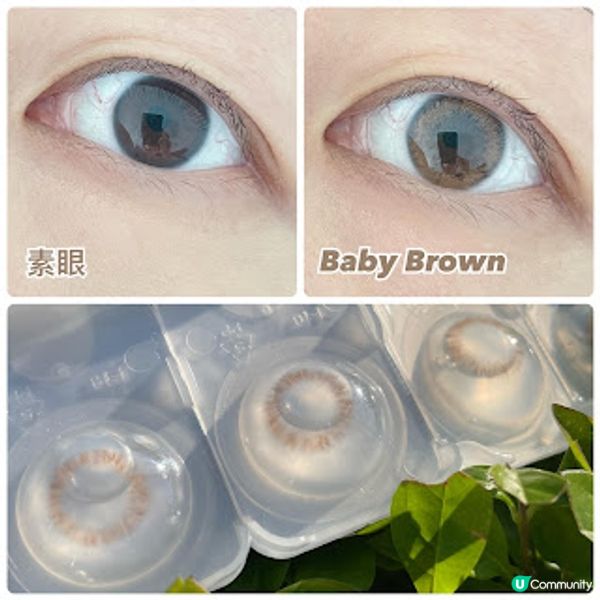 博士倫LACELLE ICONIC 系列。眼眸裏的冬日浪漫