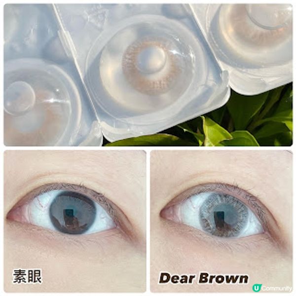 博士倫LACELLE ICONIC 系列。眼眸裏的冬日浪漫