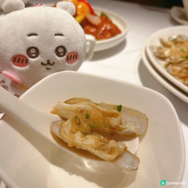 蟶霸系列無得頂👍👍👍