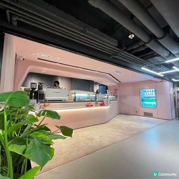 [香港素食] 長沙灣 | Belly Soul：生酮主題小店素選擇 生酮芝士蛋糕有驚喜