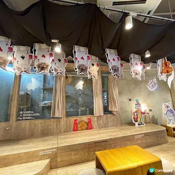 [香港素食] 長沙灣 | Lumière 一盞燈：Meow In Wonderland 期間限定主題打卡