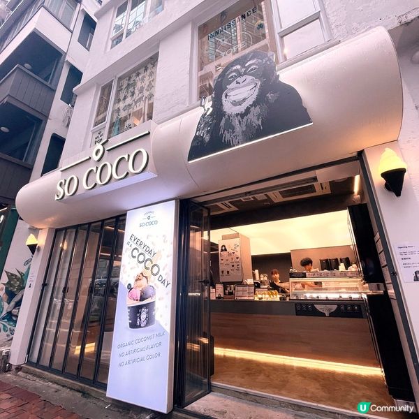 [香港素食] 銅鑼灣 | SOCOCO：純素椰子飲品 雪糕甜品專門店 銅鑼灣新店方便就腳