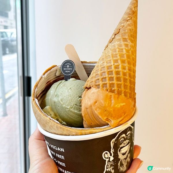 [香港素食] 銅鑼灣 | SOCOCO：純素椰子飲品 雪糕甜品專門店 銅鑼灣新店方便就腳