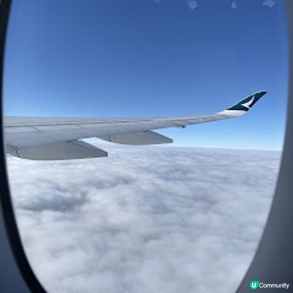 2023最新旅遊推介‼️ 宿霧·陽光海灘親子酒店5日4夜行程分享🏖⚡️小朋友玩樂·大人度假天堂😍