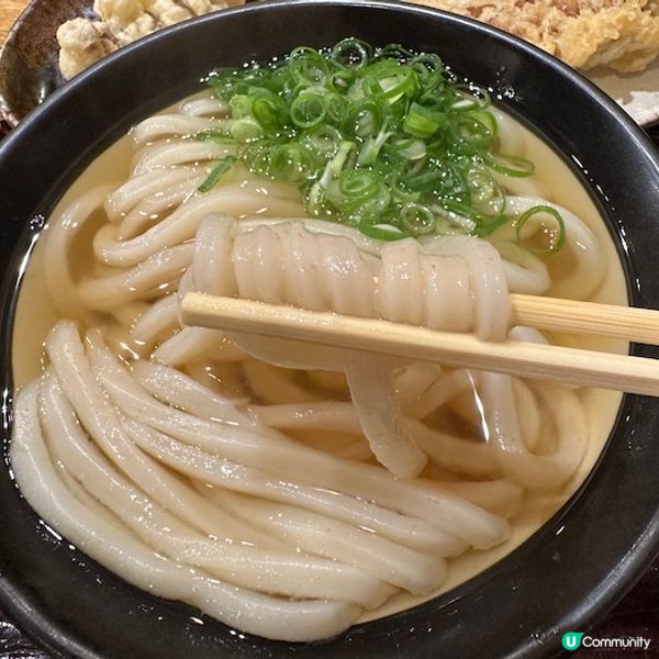 米其林指南推薦、Tabelog百名店一次報你知！東京超美味烏龍麵名店6選