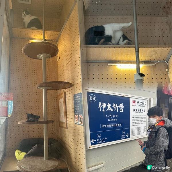 去和歌山探吓貓駅長