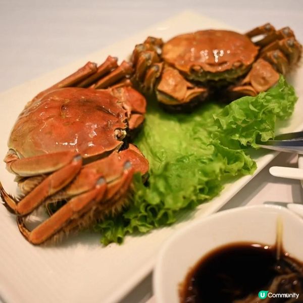 鑽石山荷里活廣場莆田大閘蟹