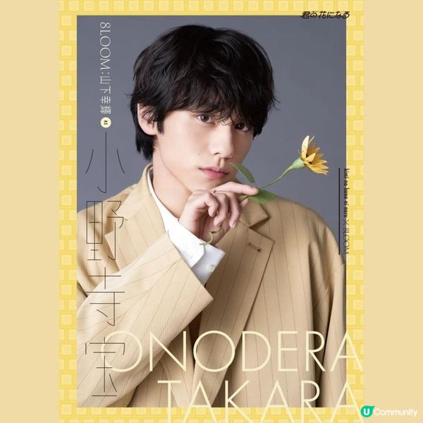 【日本藝人】8LOOM成員介紹