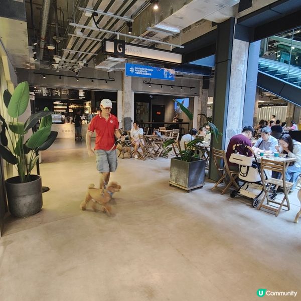 Best Cafe Food in HK