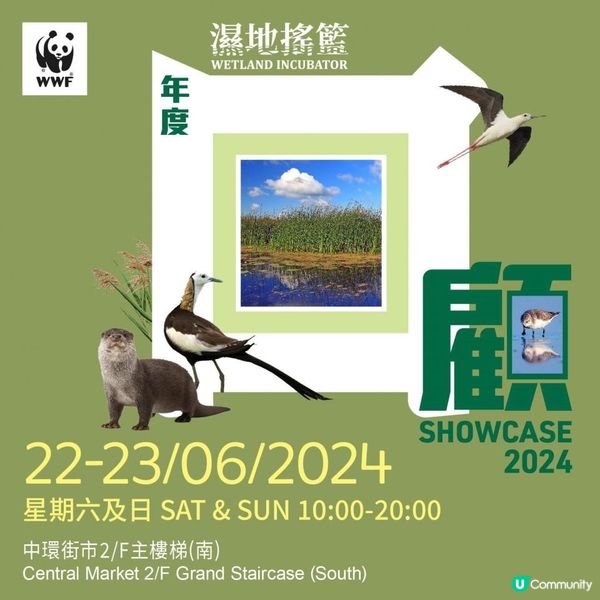 週末好去處【濕地搖籃回顧】展覽🔊🔊🔊