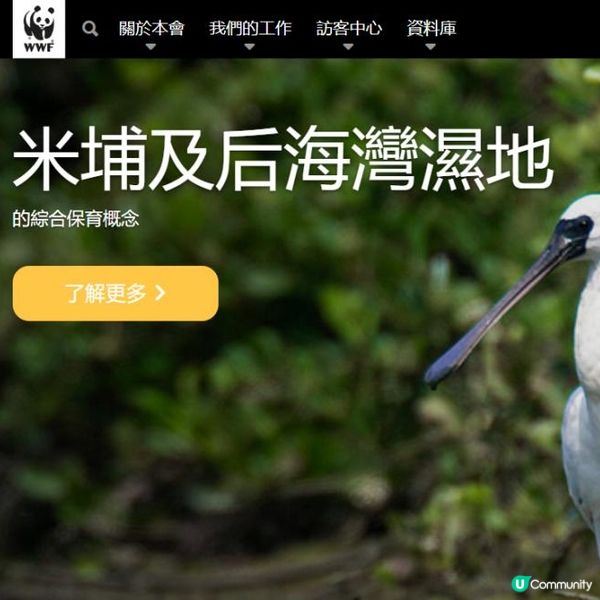 週末好去處【濕地搖籃回顧】展覽🔊🔊🔊