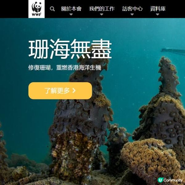 週末好去處【濕地搖籃回顧】展覽🔊🔊🔊