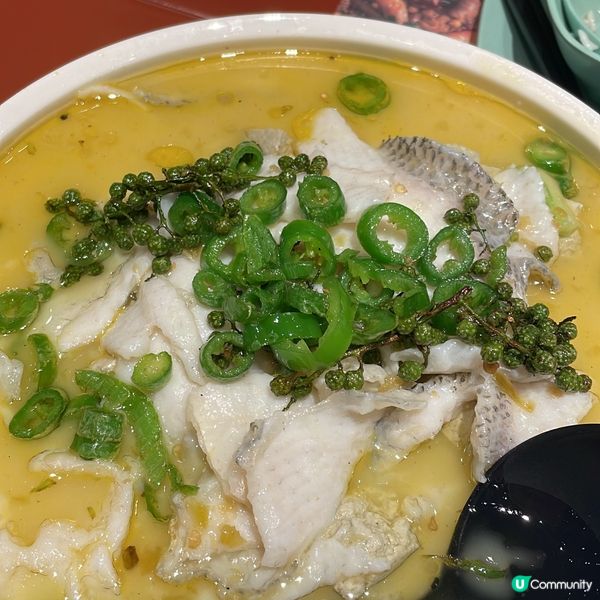 🐷📌 #豬西食銅鑼灣#豬西食港島