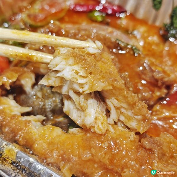 任食🔥烤魚🐟同埋🇭🇰避風塘😍瀨尿蝦