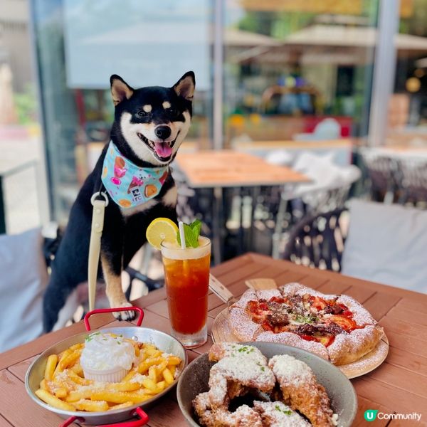 到過Megabox 初夏寵物祭，可以穿和服與小犬一齊打卡。