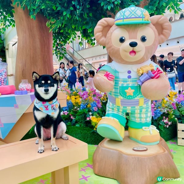 到過Megabox 初夏寵物祭，可以穿和服與小犬一齊打卡。