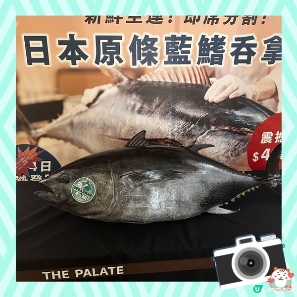 生蠔 拖羅 和牛 三個願望一次滿足