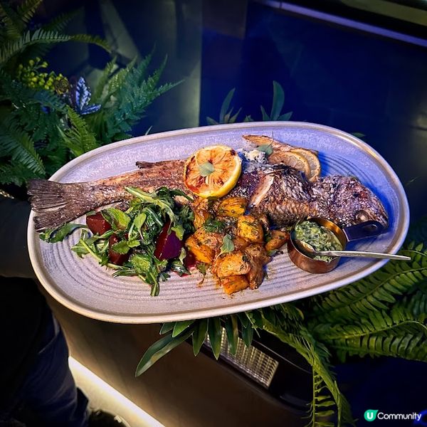 天幕下慰*肉*望！