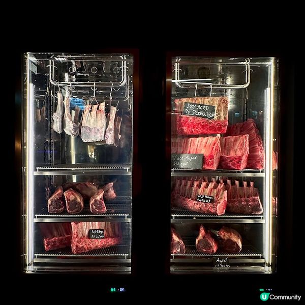 天幕下慰*肉*望！