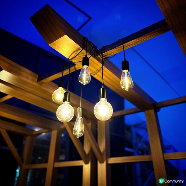 天幕下慰*肉*望！