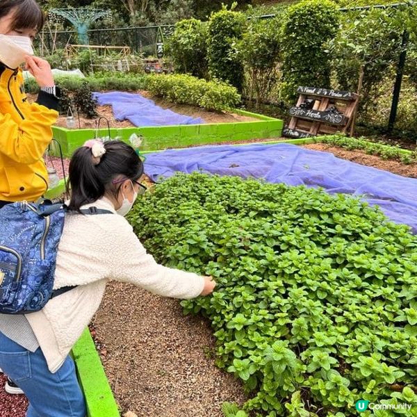 綠意農莊星級 GLAMPING