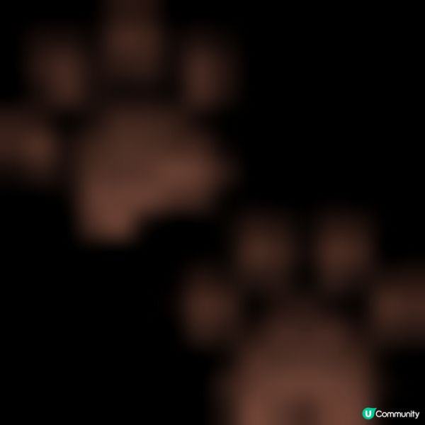 獨家9折優惠折扣碼~ Photizo Vetcare寵物護理光療儀