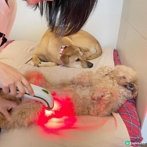 獨家9折優惠折扣碼~ Photizo Vetcare寵物護理光療儀