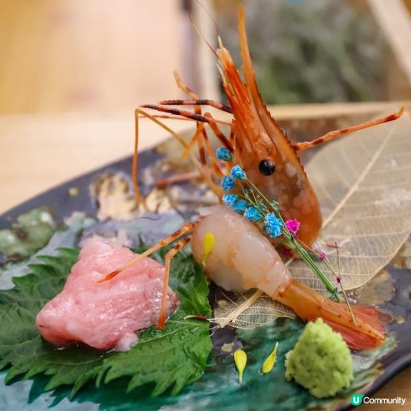 CP值超高的廚師發辦！