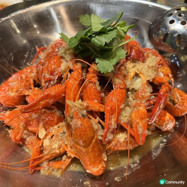 旺角必食人氣四川菜「麻辣風雲」！