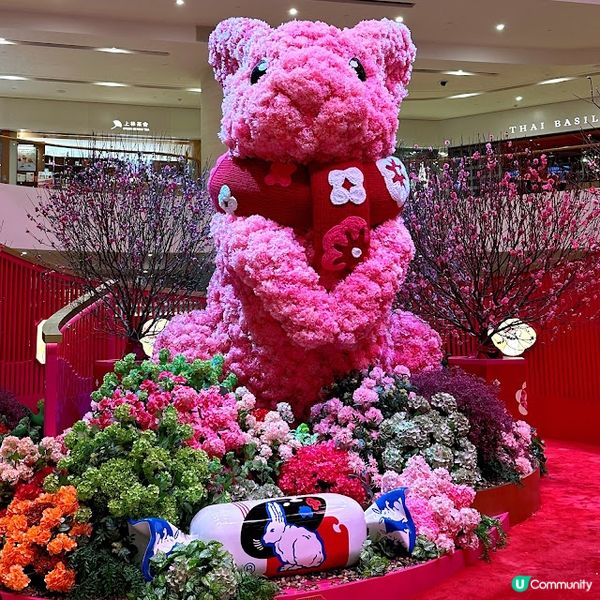 囍慶福澤春曉下午茶！