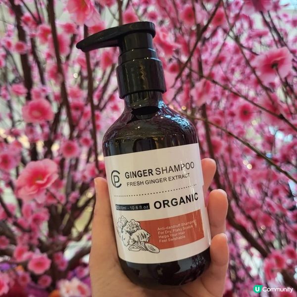 好物推介 ～ 生薑洗頭水