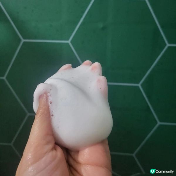 好物推介 ～ 生薑洗頭水