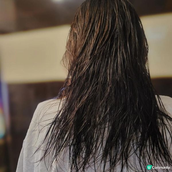 好物推介 ～ 生薑洗頭水