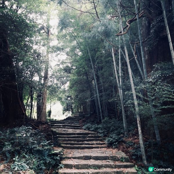 日本大阪自駕游🇯🇵 紀伊半島環島6日6夜