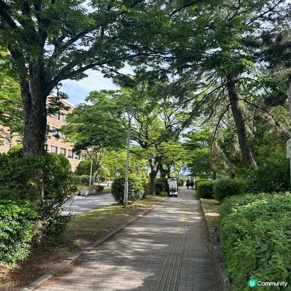 日本福岡大濠公園•適合慢步2小時的日本慢生活