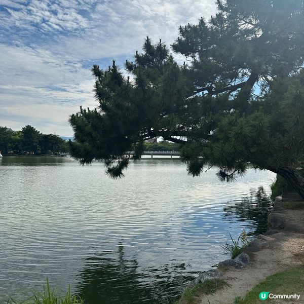日本福岡大濠公園•適合慢步2小時的日本慢生活