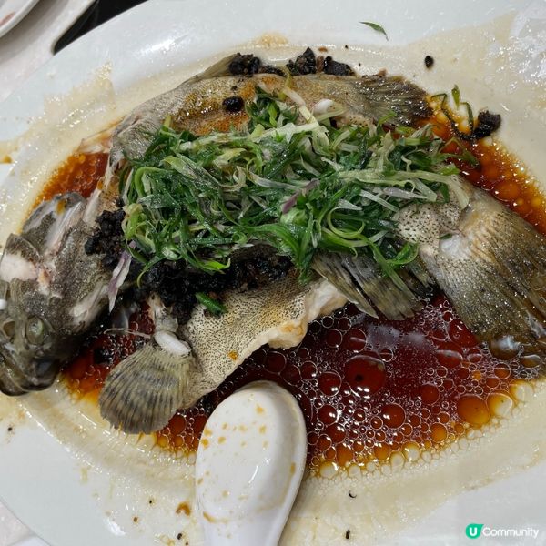 $99龍蝦🦞真係咁抵食？
