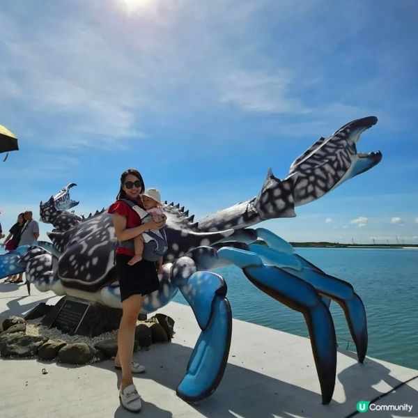 澎湖小島之旅☀️  廿人包車玩轉打卡景點