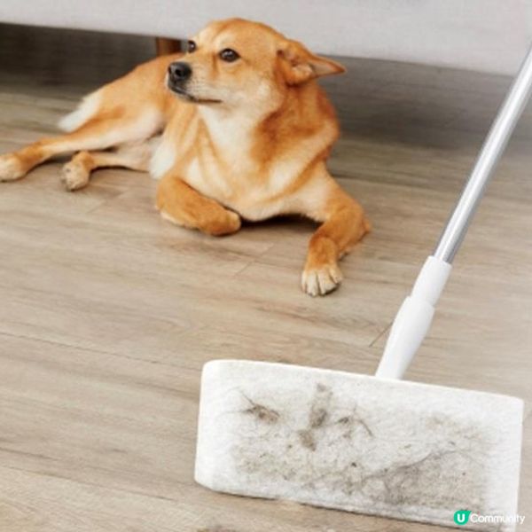 全新升級「思高™ X5全效除塵紙拖把」推廣