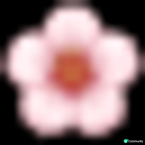 FemiPro 私密妥 ~ 長效淨本膠囊 & 抑菌舒緩噴霧