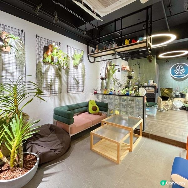 佐敦簡約文青風cafe☕️